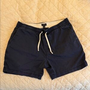 J. Crew Dark Blue Casual Shorts